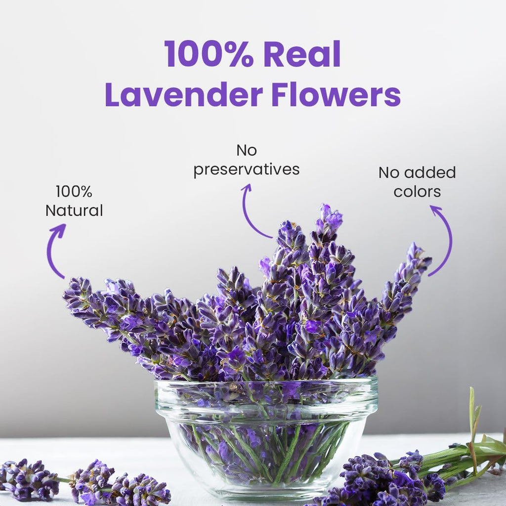 Lavender Tea - 30 Grams (30 Cups) | Premium Pure Lavender Flower Buds from Kashmir | Vegan, Non-GMO, Caffeine-Free | Eco-Sustainable Pet Jar Packaging
