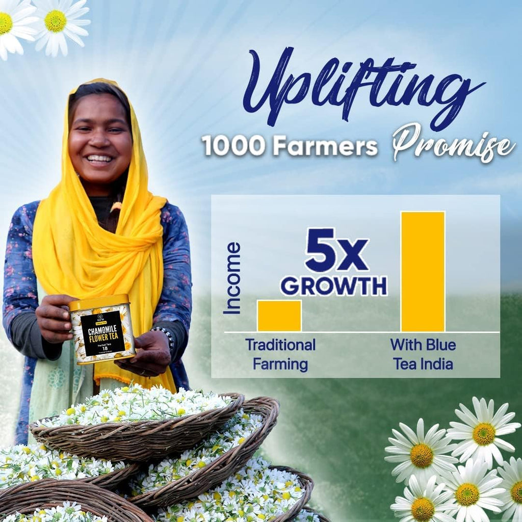 Chamomile Lavender Herbal Tea - 10 Biodegradable Pyramid Tea Bags | Caffeine-Free, Non-GMO, Super Antioxidant | Eco-Conscious Premium Packaging