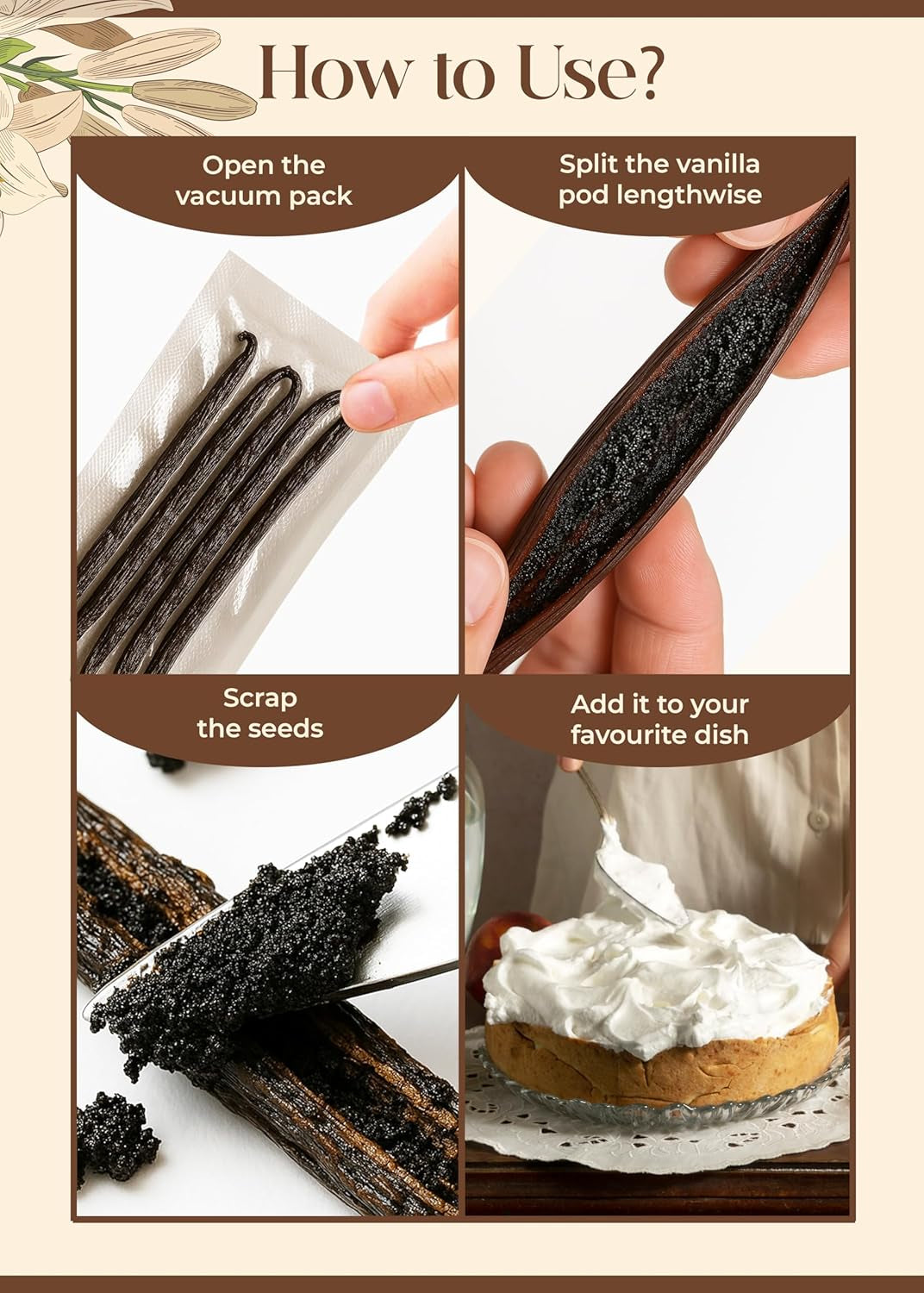Organic Everyday Premium Madagascan Vanilla Pods | Grade a Vanilla Beans in Airtight Tin | Gourmet Sticks for Baking (25 Pods, 11-14Cm) | 5 X 5 Vacuum Packs inside |