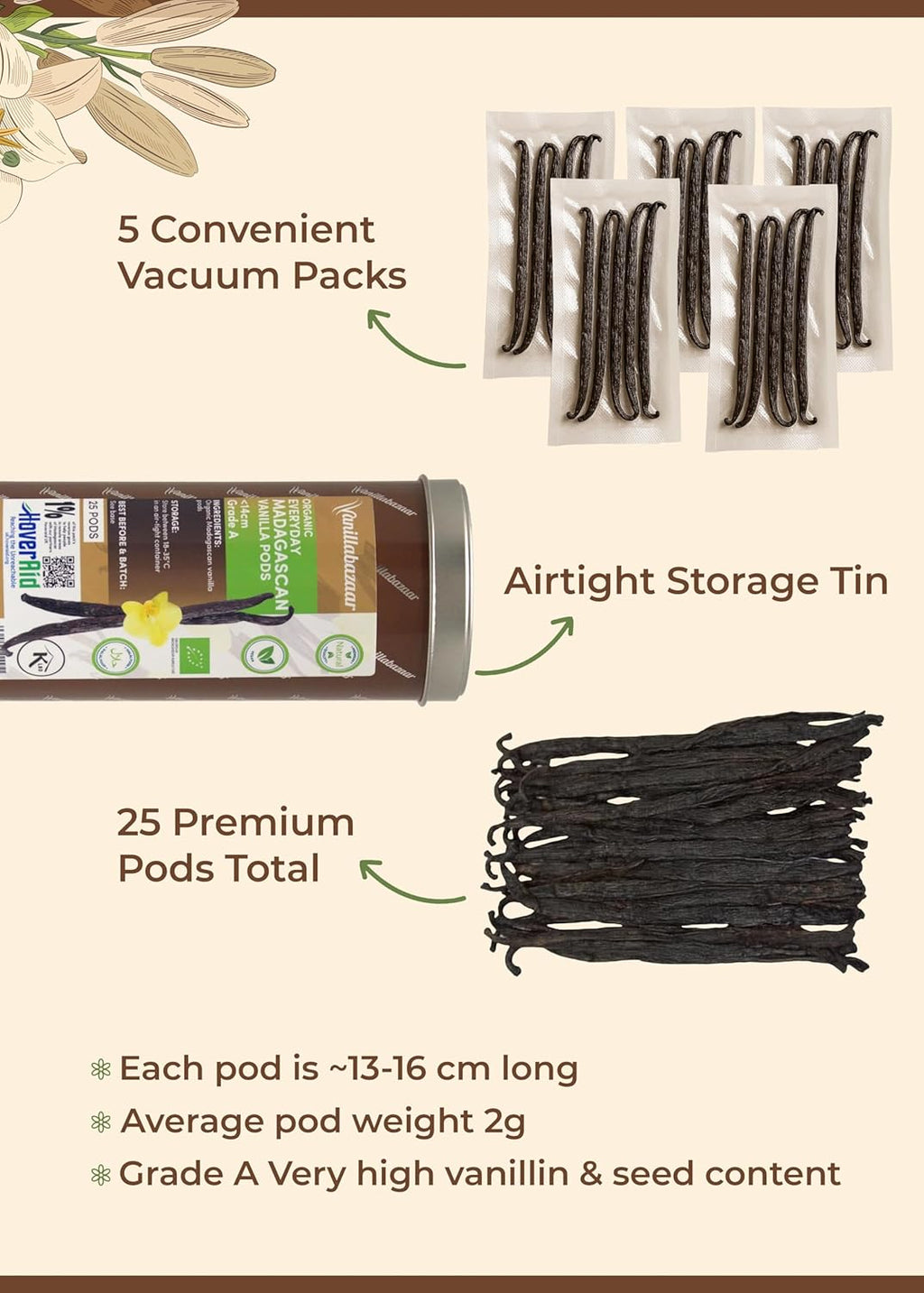 Organic Everyday Premium Madagascan Vanilla Pods | Grade a Vanilla Beans in Airtight Tin | Gourmet Sticks for Baking (25 Pods, 11-14Cm) | 5 X 5 Vacuum Packs inside |
