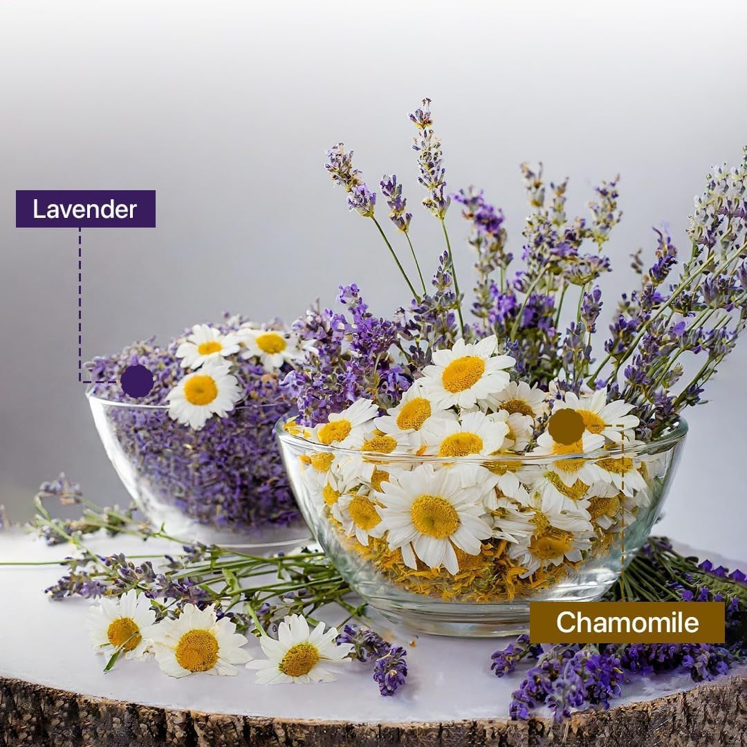 Chamomile Lavender Herbal Tea - 10 Biodegradable Pyramid Tea Bags | Caffeine-Free, Non-GMO, Super Antioxidant | Eco-Conscious Premium Packaging